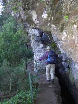 levada