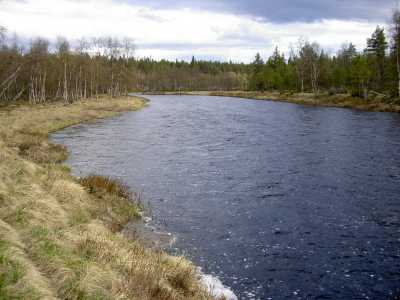 Nuorttijoki täynnä