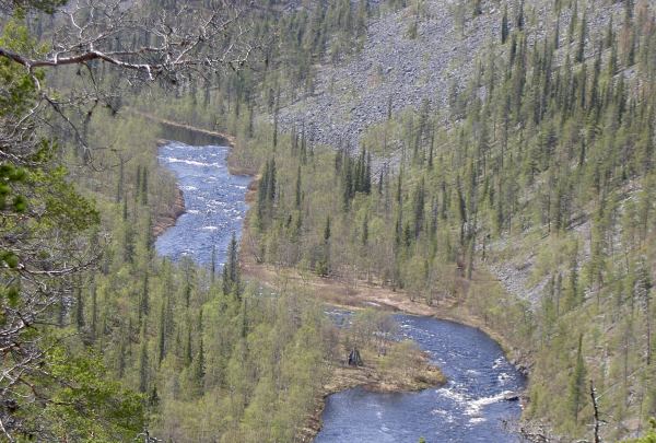 Nuorttijoki