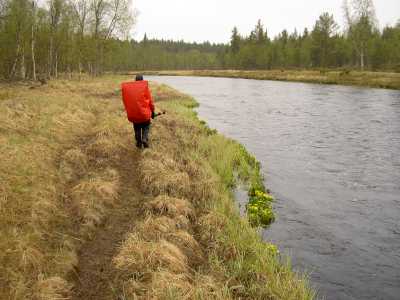 Nuorttijoki