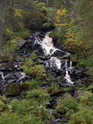Korkeakoski - 42981 Bytes