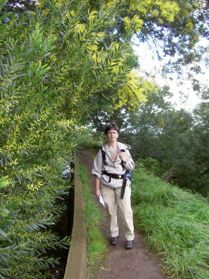 levada dos Tornos