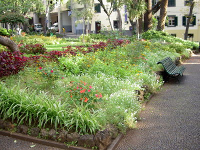 puistoa
