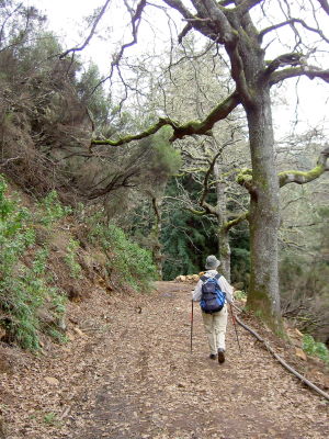Levada Serraa