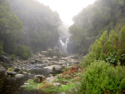 PICT7879a.jpg - 28450 Bytes