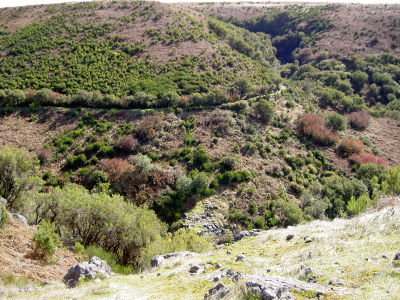 Vanhin levada