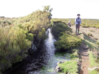levada