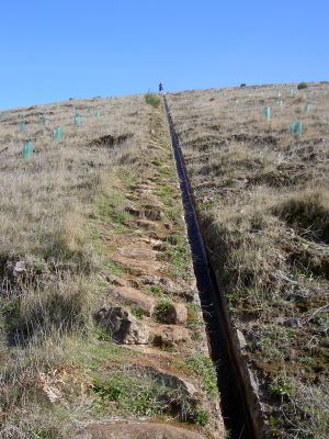Levada Negraa