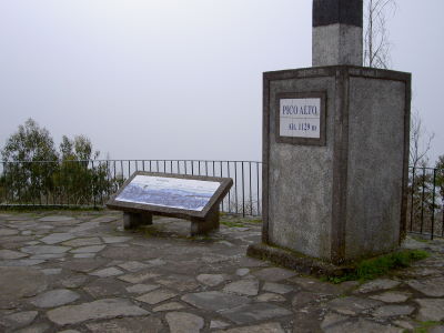 PICT8003a.jpg - 24186 Bytes
