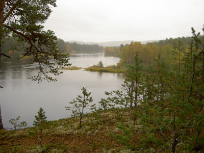 luttojoki