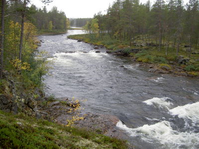 Suomujoki