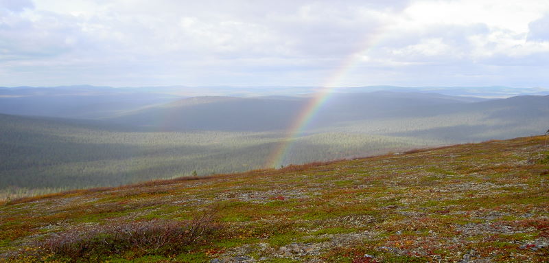 Kuikkapää