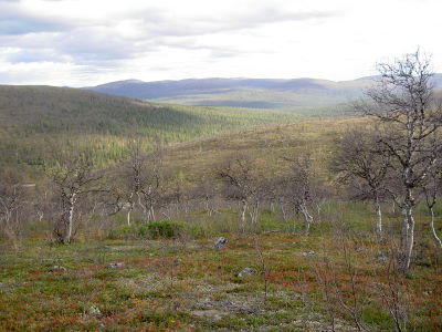 Tunturimaisema