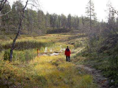 Vellinsrpim - Taajoslaavu