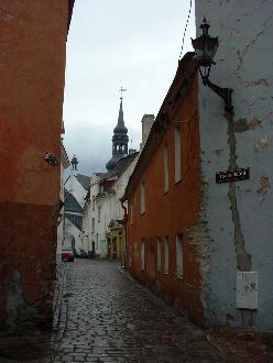 dsc390.JPG - 14246 Bytes