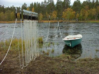 Vaijerivene Juutuanjoessa - 37770 Bytes