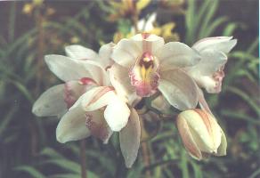 km03a.JPG - 10555 Bytes