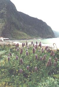 km06a.JPG - 15044 Bytes