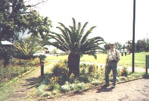 km15a.JPG - 18436 Bytes