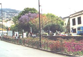 km16a.JPG - 16344 Bytes