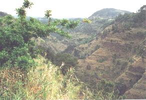 km17a.JPG - 15854 Bytes