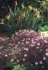 km41.JPG - 21049 Bytes