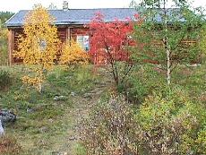 l06.JPG - 16291 Bytes