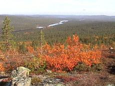 l07.JPG - 12225 Bytes