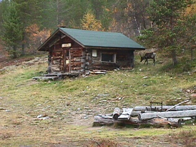 l10.JPG - 75264 Bytes