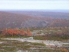 l14.JPG - 9893 Bytes