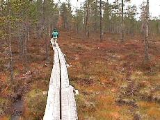 l27.JPG - 14679 Bytes