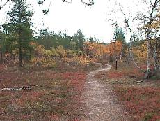 l37.JPG - 13104 Bytes