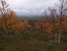 l30.JPG - 9333 Bytes
