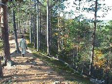 l42.JPG - 18318 Bytes