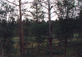 Mökin pihamaisemaa - 20 KB