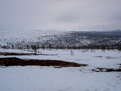 Pälvinen Kaunispään rinne - 18152 Bytes