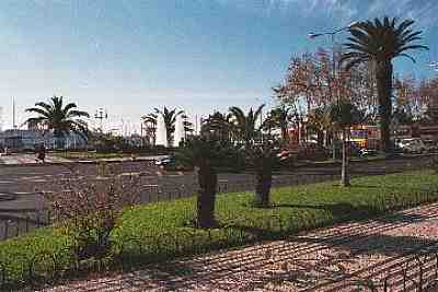sc486.JPG - 23786 Bytes