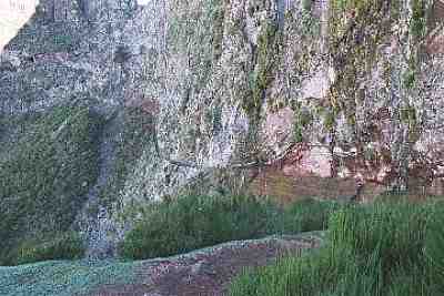 sc530.JPG - 28570 Bytes