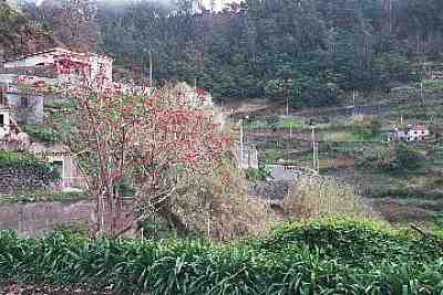 sc542.JPG - 30282 Bytes