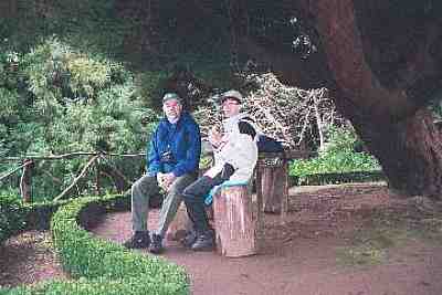 sc561.JPG - 24145 Bytes