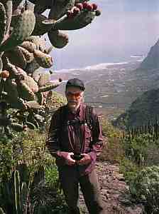 tf34.jpg - 31589 Bytes