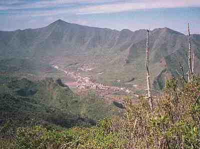 tf36.jpg - 29655 Bytes