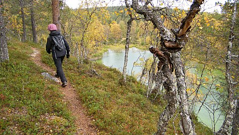 Pessinlampi näkyy