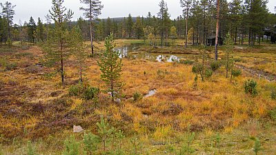 mökin suuntaan