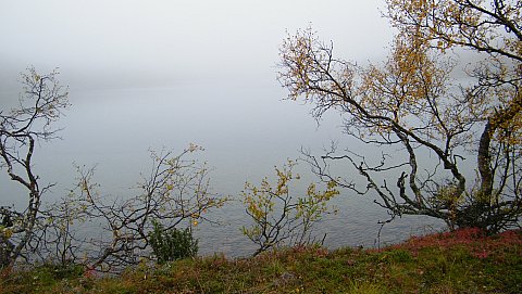 Sumuinen Rautulampi