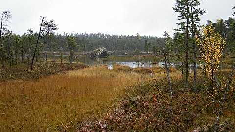 Erämaajärvi