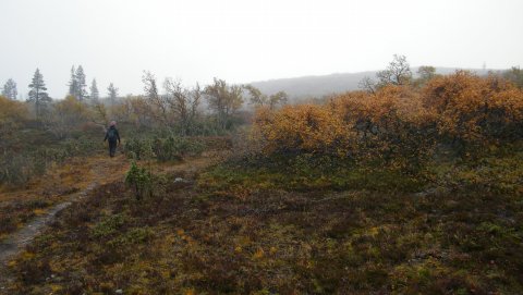 polku