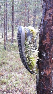 Vanha kenkä