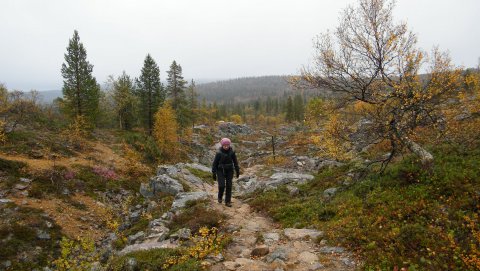 Polkua Iisakkipäälle