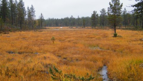 väriä